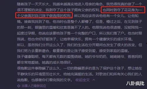 娱乐圈吃瓜Excel,揭秘明星幕后故事与八卦风云