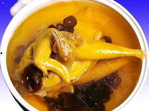 娱乐吃瓜酱鸡汤视频大全,鸡汤视频大全，暖心治愈你的日常